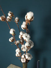 Load image into Gallery viewer, Cotton Snow - Flùr
