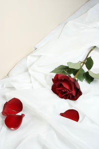 Single Red Rose - Flùr